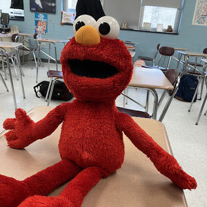 Meet your Posher, Dylan